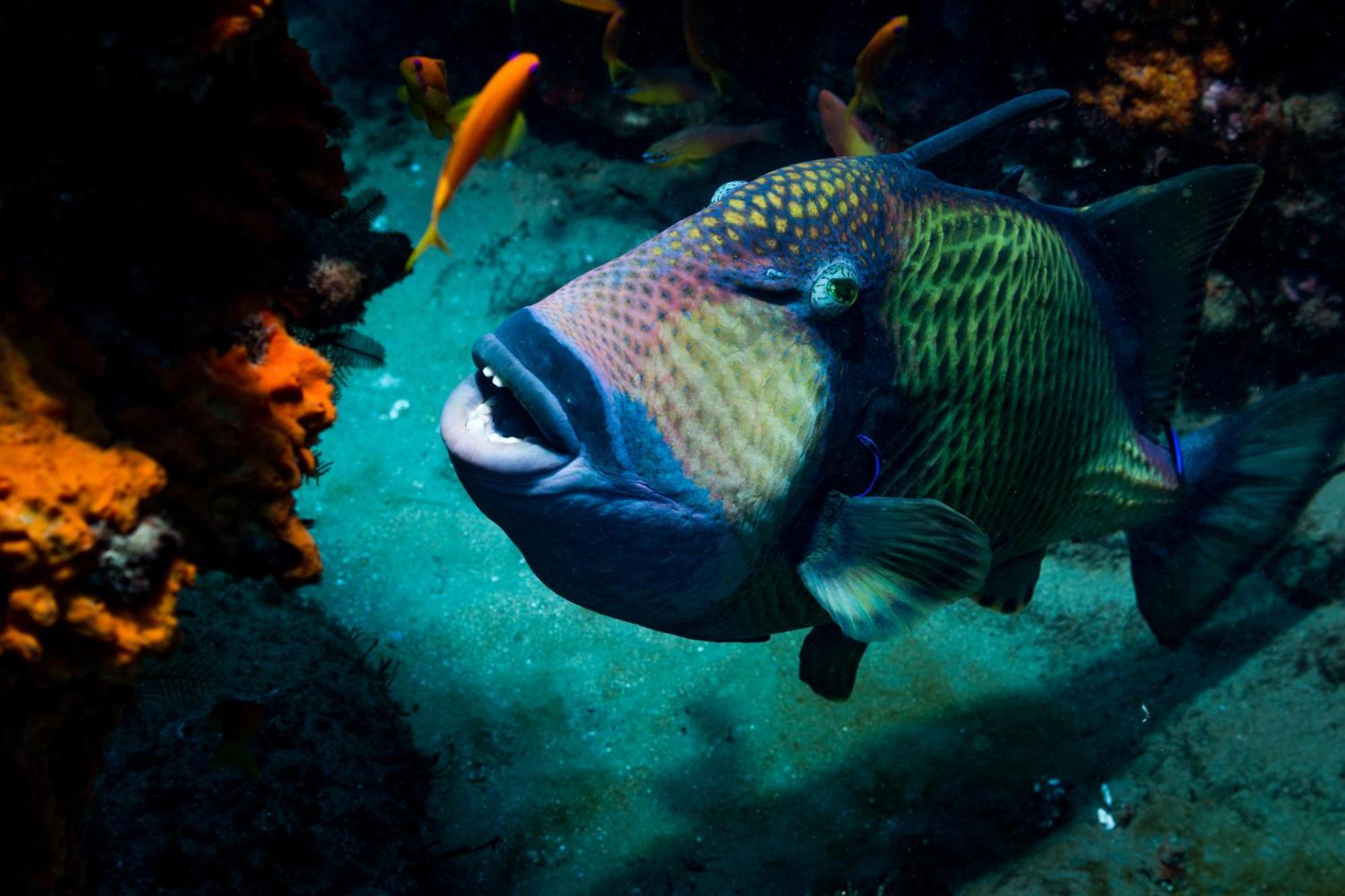 Sodwana Bay Lodge Dive & Fishing Resort Exterior foto